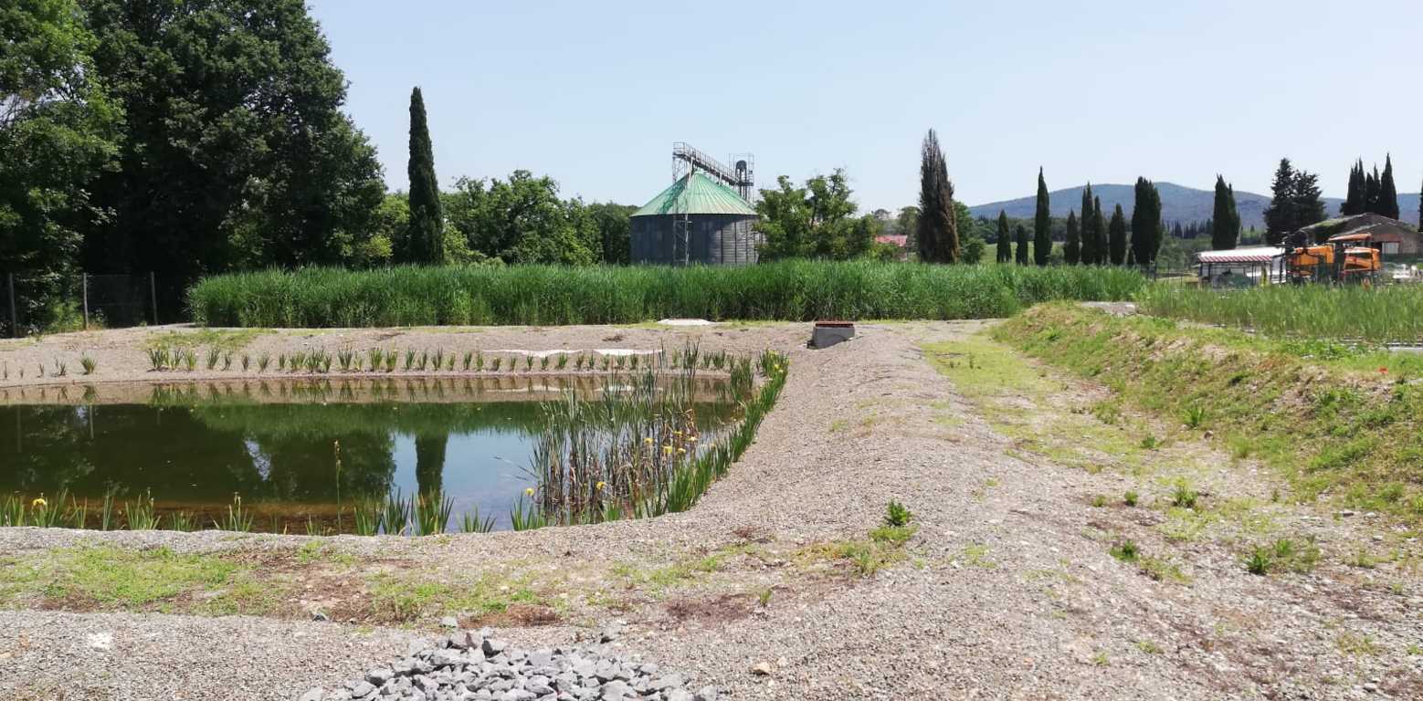 IRIDRA progetto per Cantina presso la tenuta 