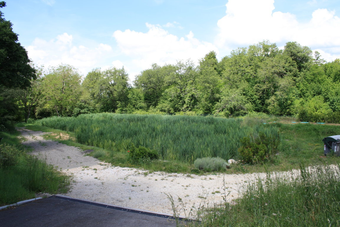 IRIDRA progetto per Villaggio turistico HAPIMAG di Pentolina, Chiusdino (SI)